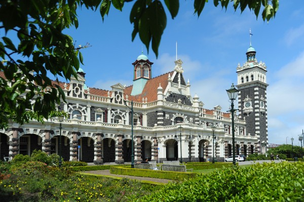 Activities To Do In Dunedin